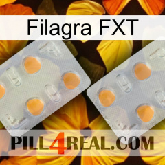 Filagra FXT 25
